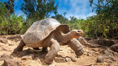 Ekvádor od rovníku k Pacifiku a 5denní plavba po Galapágách